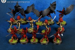 BLOOD-OF-THE-PHOENIX-warhammer-40k-miniatures-2