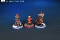 Game-of-thrones-A-Song-of-Ice-and-Fire-miniatures-2