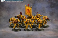 Imperial-fists-army-Warhammer-40k-miniature-1