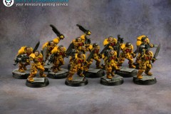 Imperial-fists-army-Warhammer-40k-miniature-3