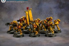 Imperial-fists-army-Warhammer-40k-miniature-4
