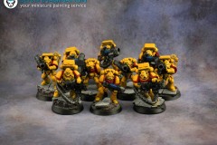 Imperial-fists-army-Warhammer-40k-miniature