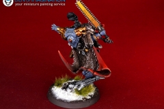 Space-Wolves-Commando-warhammer-40k-miniatures-3