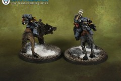 Thunderwolf-Cavalry-warhammer-40k-miniature-1