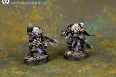 Warhammer-40k-Chaos-sisters-of-battle-miniature-1