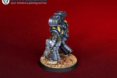 Warhammer-40k-Iron-warrios-miniature