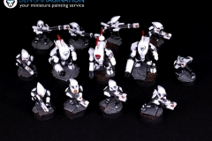 White-Tau-Army-warhammer-40k-miniatures-5