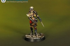 Yolanda-Skorn-warhammer-40k-miniature